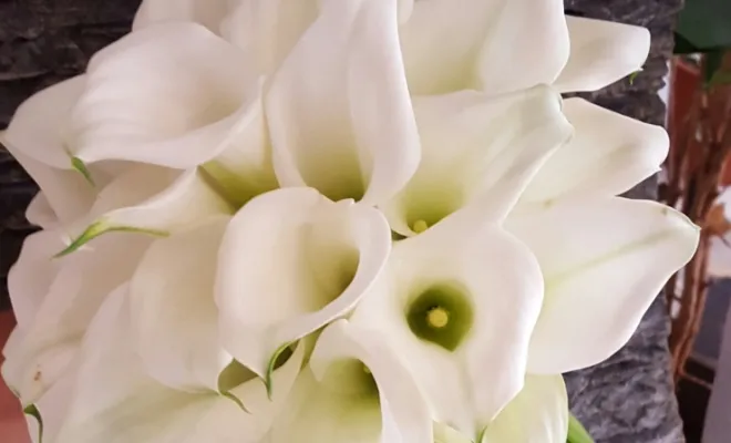 bouquet de callas 