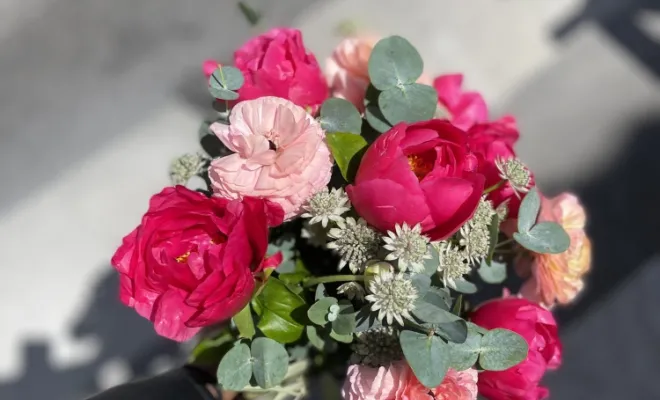 Bouquet de fleurs rose , Marseille 9, LE GYPSO
