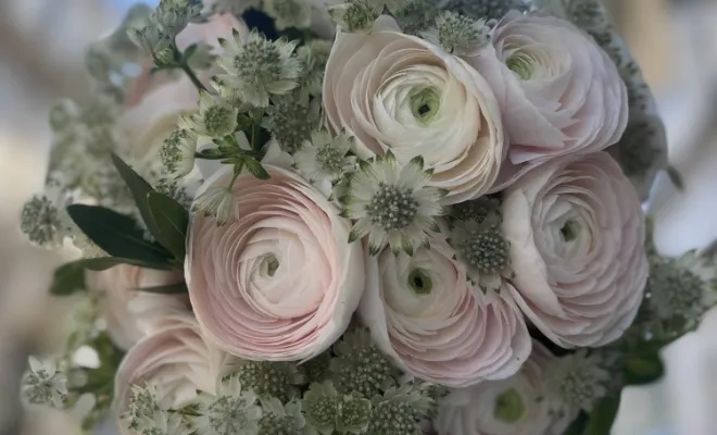 Bouquet de fleurs rose , Marseille 9, LE GYPSO