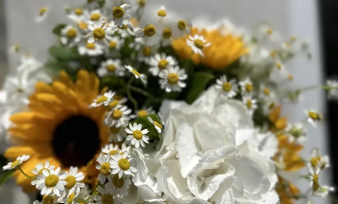 bouquet colorée , Marseille 9, LE GYPSO