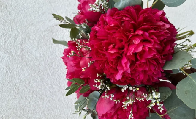 bouquet colorée , Marseille 9, LE GYPSO