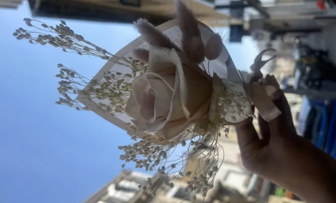 baby bouquet , Marseille 9, LE GYPSO