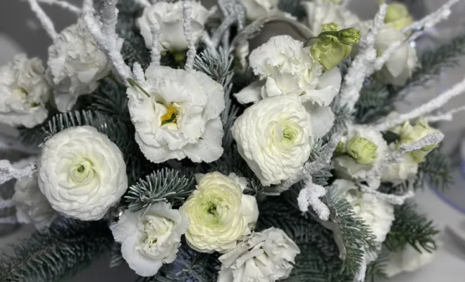 noël en blanc